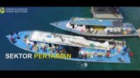 Selayang Pandang Kabupaten Parigi Moutong