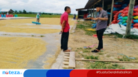 Panen Raya, Petani di Parsel Keluhkan Harga Beras Anjlok