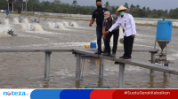 Kunjungi 3 Perusahaan di Banggai, Wagub Minta Perhatikan Kesejahteraan Karyawan