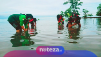 Tanam 1000 Bibit Mangrove, Camat Tinombo : Ini Upaya Mitigasi Bencana