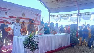 Bupati Samsurizal Lantik 97 Kades, Begini Pesannya