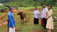 Bupati dan Wabup Morut serahkan 14 Ekor Hewan Qurban Untuk Masyarakat