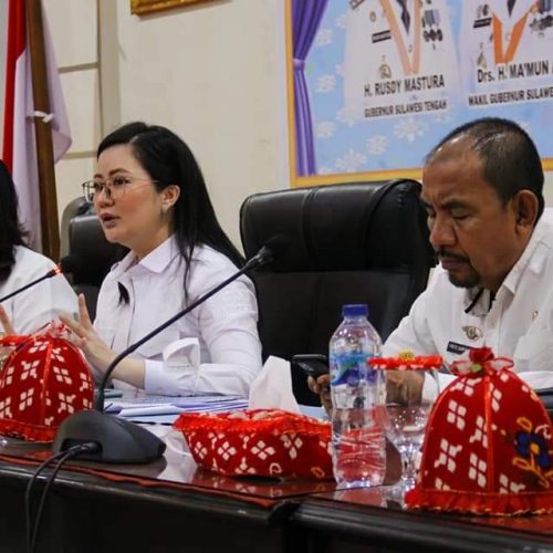 Jelang Pelaksanaan Festival Danau Poso 2022, Pemkab Fokus Percantik Kota