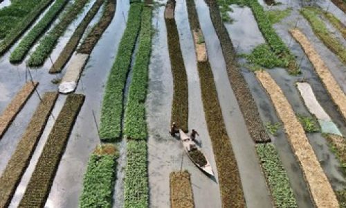 BKSAP DPR: Indonesia Berkomitmen Penuh untuk Mengatasi Perubahan Iklim 