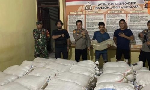 Polisi Berhasil Mengagalkan Penyelundupan 7 Ton Cap Tikus di Sulteng