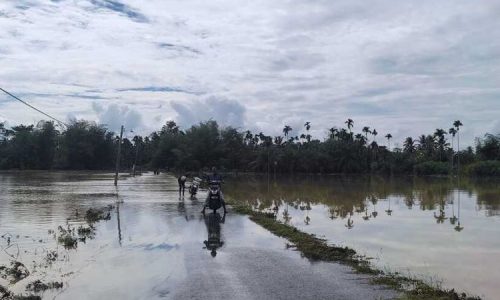Dinas Pertanian di Aceh Alami Kerugian Puluhan Miliar Karena Banjir