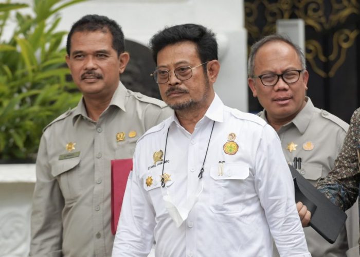 Presiden Meminta Menteri Pertanian Cek Stok Beras Nasional 