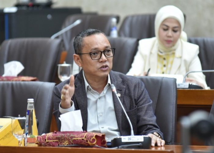 Komisi VI Minta PLN Melanjutkan Konversi LPG ke Kompor Listrik