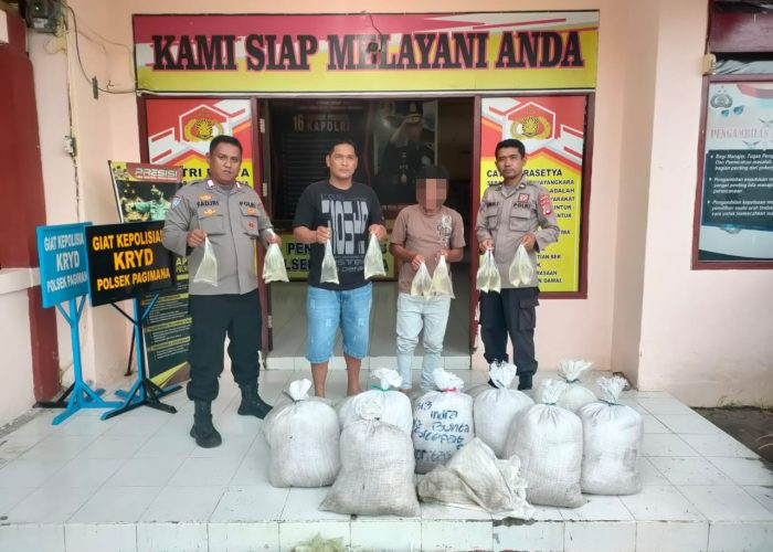 Polsek Pagimana Berhasil Gagalkan Penyelundupan Ratusan Bungkus Cap Tikus ke Kota Luwuk