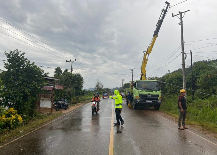 Kabel Terjuntai di Jalan Karna Pohon Tumbang,Satlantas Polres Morowali Utara Amankan TKP