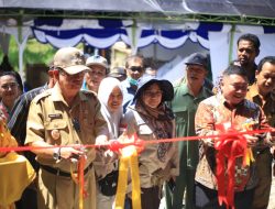 Wabup Badrun Nggai, Resmikan Kandang Komunal Peternakan Sapi Di Desa Tinombala Jaya