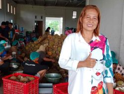 Industri Durian Lokal Parimo Milik Maria Telah Ekspor Ke China