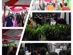 Lokasi Festival Durian Internasional Di Padati Pengunjung Hingga Malam Hari