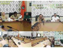 Banggai Pamerkan Kesuksesan Program Desa Bebas Stunting dalam Webinar
