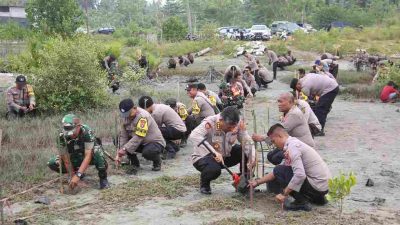 Polda Sulteng tanam 1000 bibit mangrove di Pantai Popa