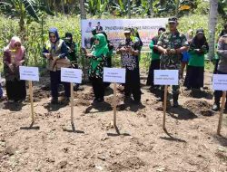 Tekan Inflasi, Pemkab Parigi Moutong Canangkan Gerakan Tanam Cabe
