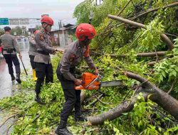 Tim SAR Ditsamapta Polda Sulteng : Gercep tangani pohon tumbang dan banjir di Kota Palu