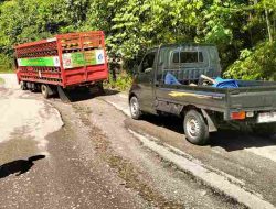 Warga mengeluhkan Jalan nasional desa wawopada -Lembontobara Kab.Morowali Utara Provinsi Sulawesi Tengah rusak parah