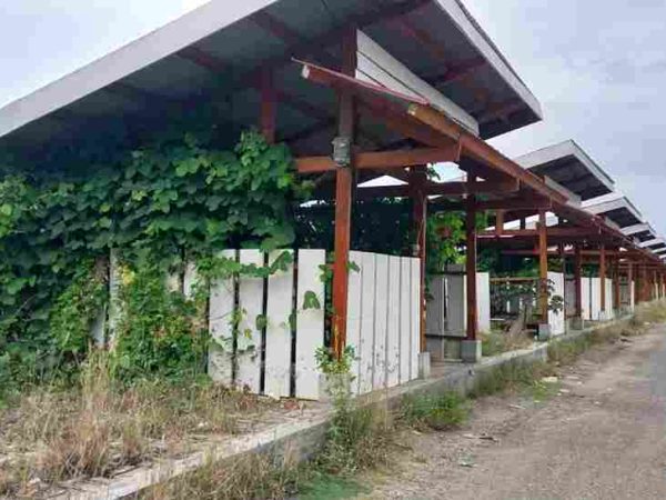 Di Penuhi Rumput Hutan, Warung Kuliner Dikawasan Pantai Lolaro Nampak Mubazir