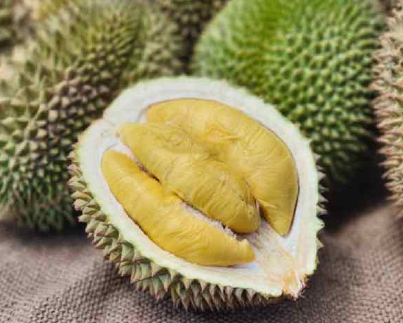 Parigi Moutong: Surganya Durian di Indonesia