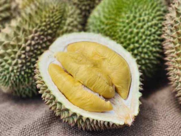 Parigi Moutong: Surganya Durian di Indonesia