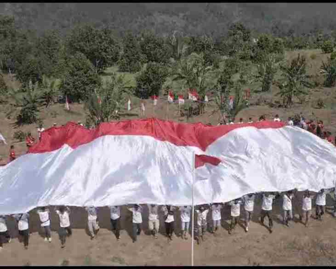 Eks Napiter Bersama Satgas Madago Raya Kibarkan Bendera Merah Putih Raksasa di Gunung Biru Poso