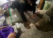 Warga Dalaka Sindue Masuk Bui Karena Simpan Sabu 1 Kg