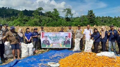 Dukung Asta Cita Presiden, Polsek Nuhon Gelar Panen Jagung Perdana di Desa Damai Makmur