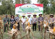 Bupati Erwin Burase Tegaskan Komitmen Dukung Swasembada Pangan pada Panen Raya Jagung Serentak di Torue