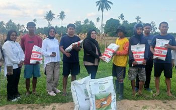 Anleg Parimo Selpina Basrin Beri Bantuan Bibit Jagung ke Petani di Parigi Barat