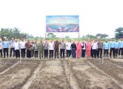 Palasa Jadi Lokasi Gerakan Tanam Bawang Putih, Parimo Dorong Swasembada Nasional